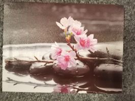 Frühlingsbild mit Kirschblüten und Steinen