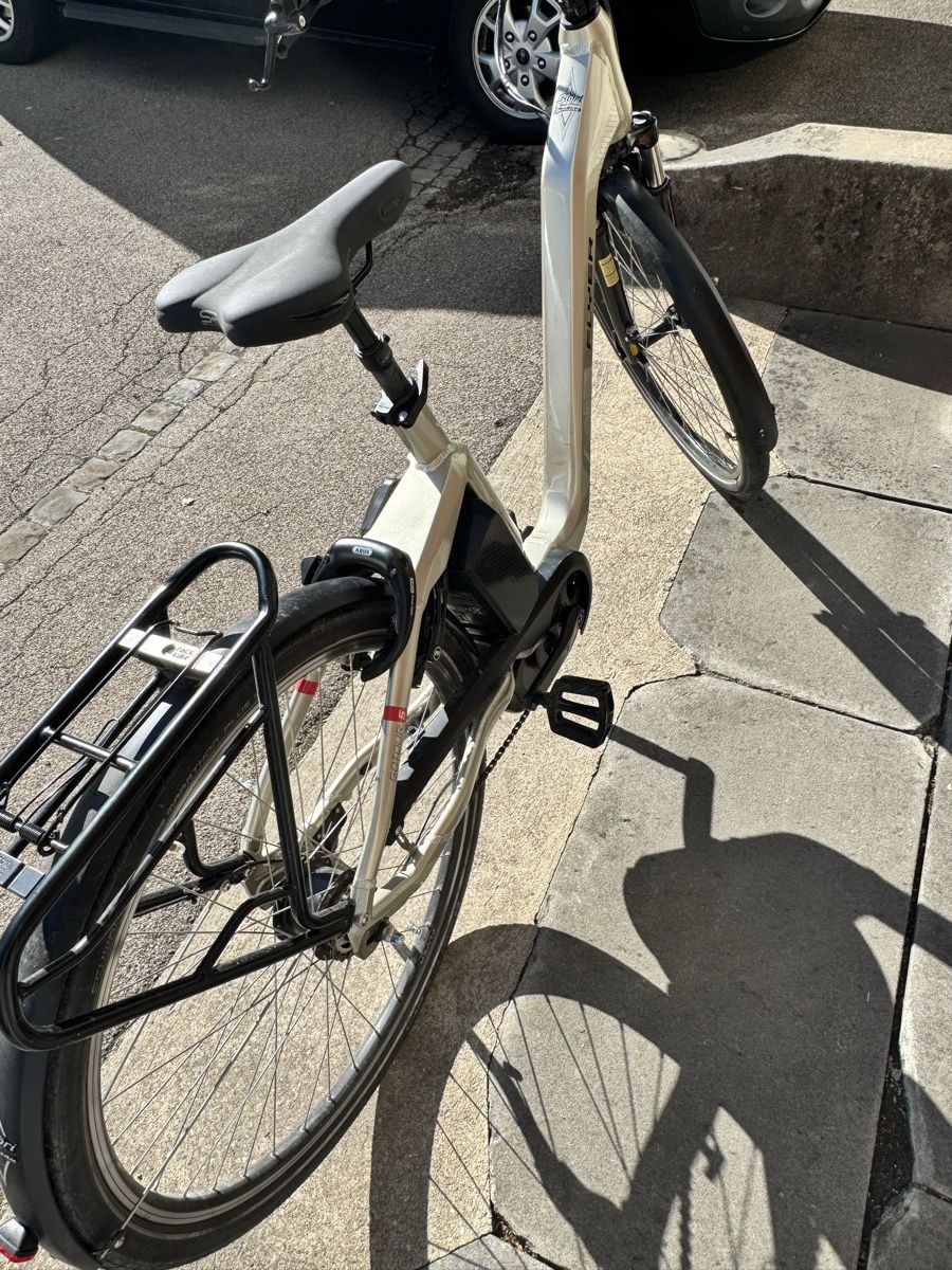Flyer Velos: Flyer Damen E-Bike Grösse M  – Defekt aus Wattwil von PepperX 3