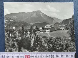 KASTANIENBAUM LU AK KURHEIM ST.CHRISCHONA 1965 STANSERHORN