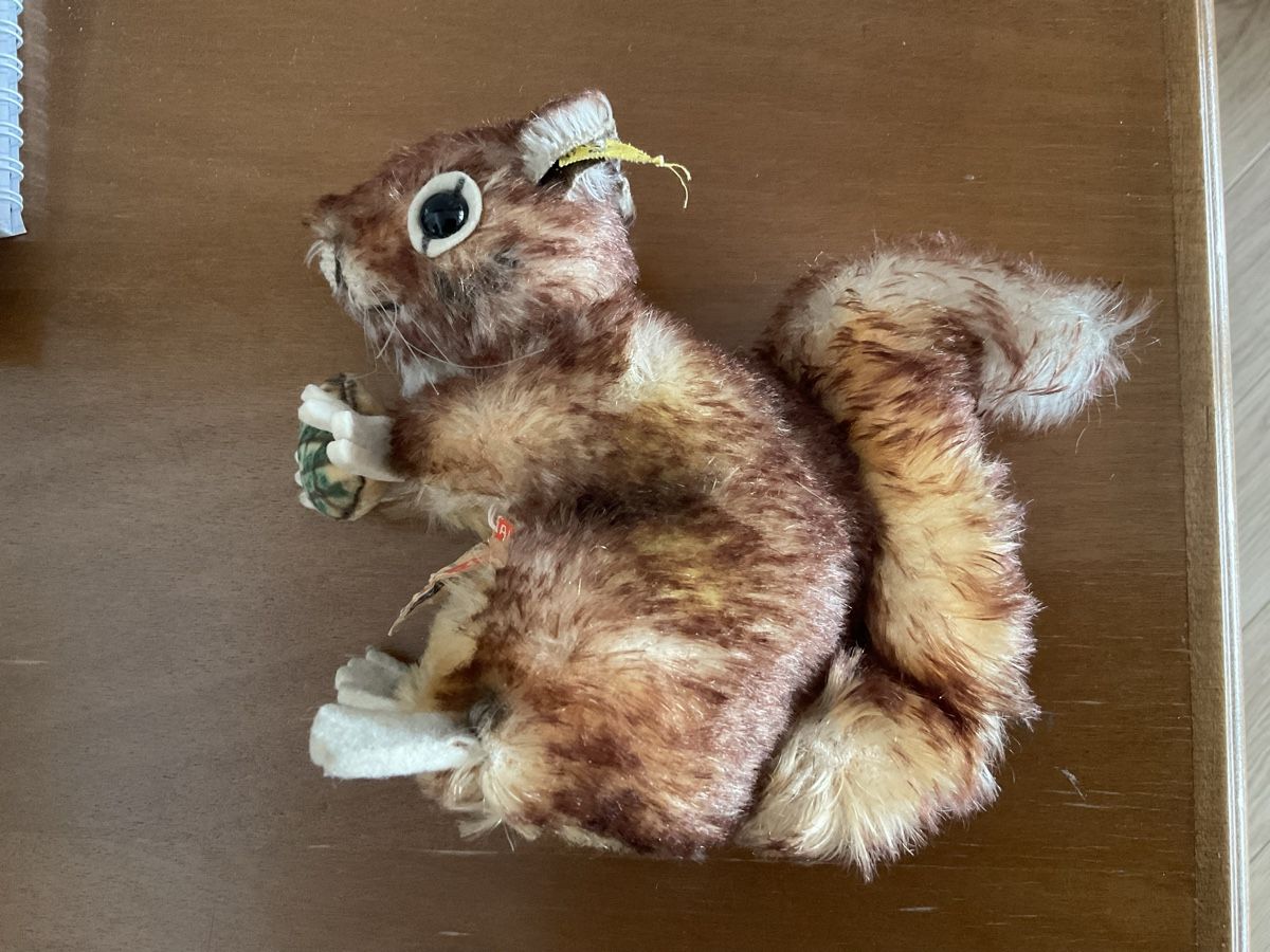 Steiff Giocattoli: Steiffeichörnchen Perry 1960s – Usato da Herbriggen venduto da Sehrazade 3