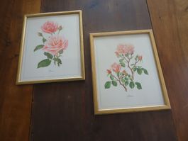 Dessins de roses roses avec cadres - 2 pièces
