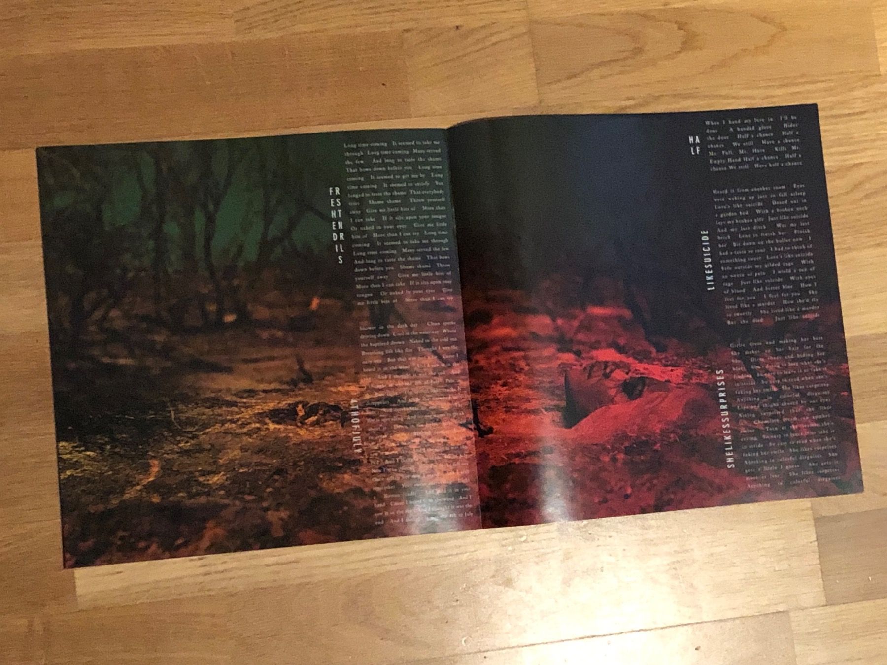 Dischi in vinile: Soundgarden. 2014. Doppelalbum – Usato da Faulensee venduto da Mizuno06 9