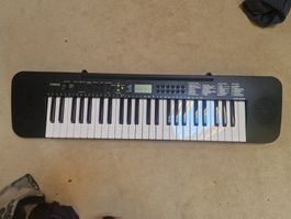 Mini Piano Casio