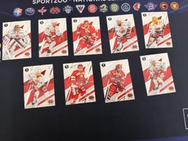 Sportzoo Playoffs Base Set Komplett EHC Biel