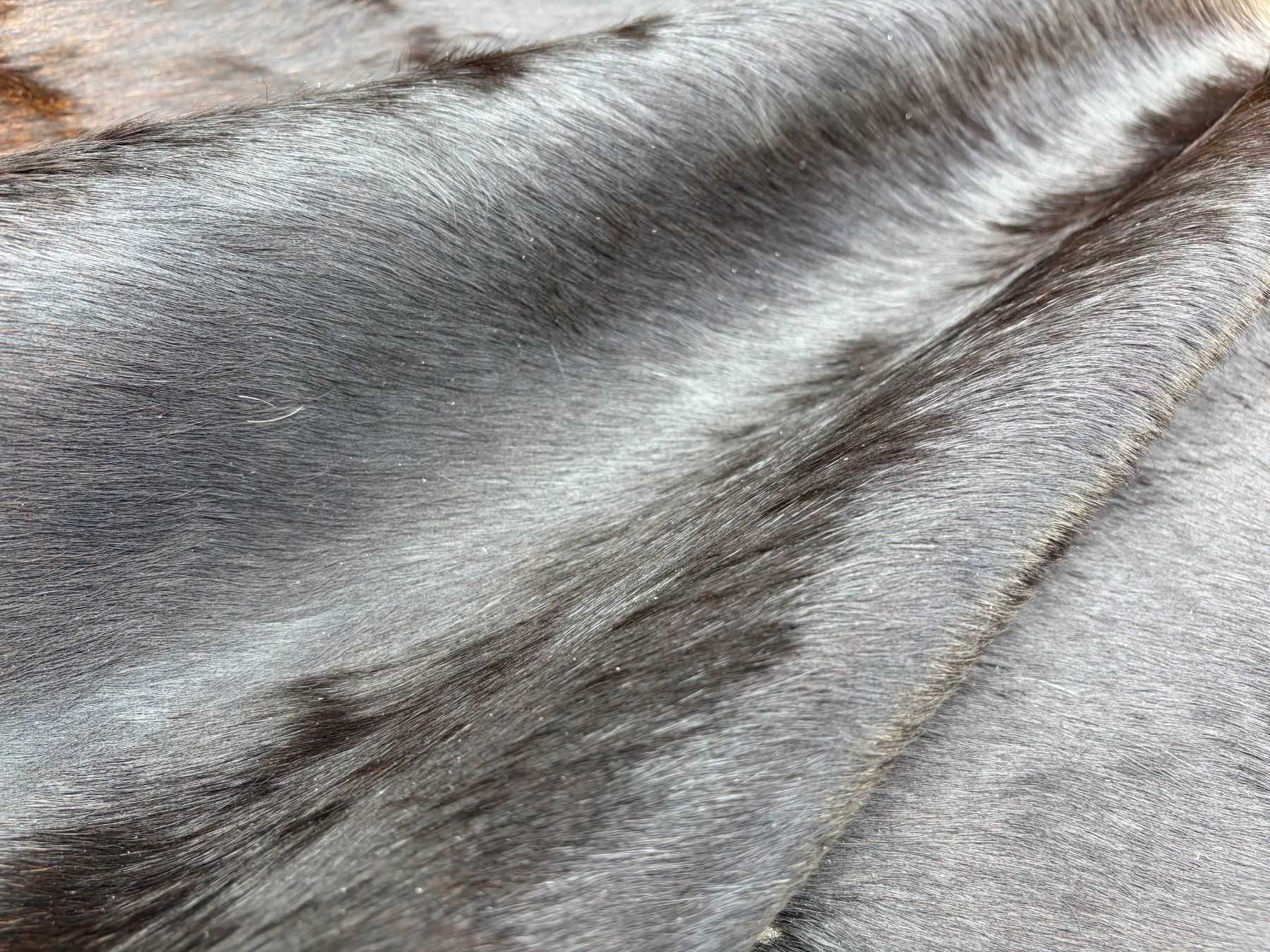 Teppiche: echtes Kuhfell Teppich exotic – Neu und originalverpackt aus Arbedo von patagonialeatherrugs 4