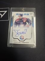 Sportzoo Baltisberger ZSC Lions