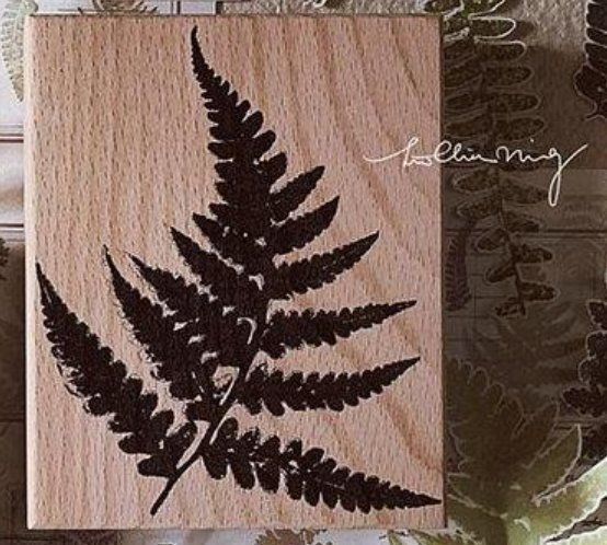 Timbri: LCN Design Studio grosser Stempel "Fern" – Nuovo e nell'imballaggio originale da Zürich venduto da brifo64