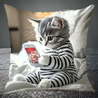 🐾 🐱 Katzen-Fun Kissen – Spielende Katze ☎️