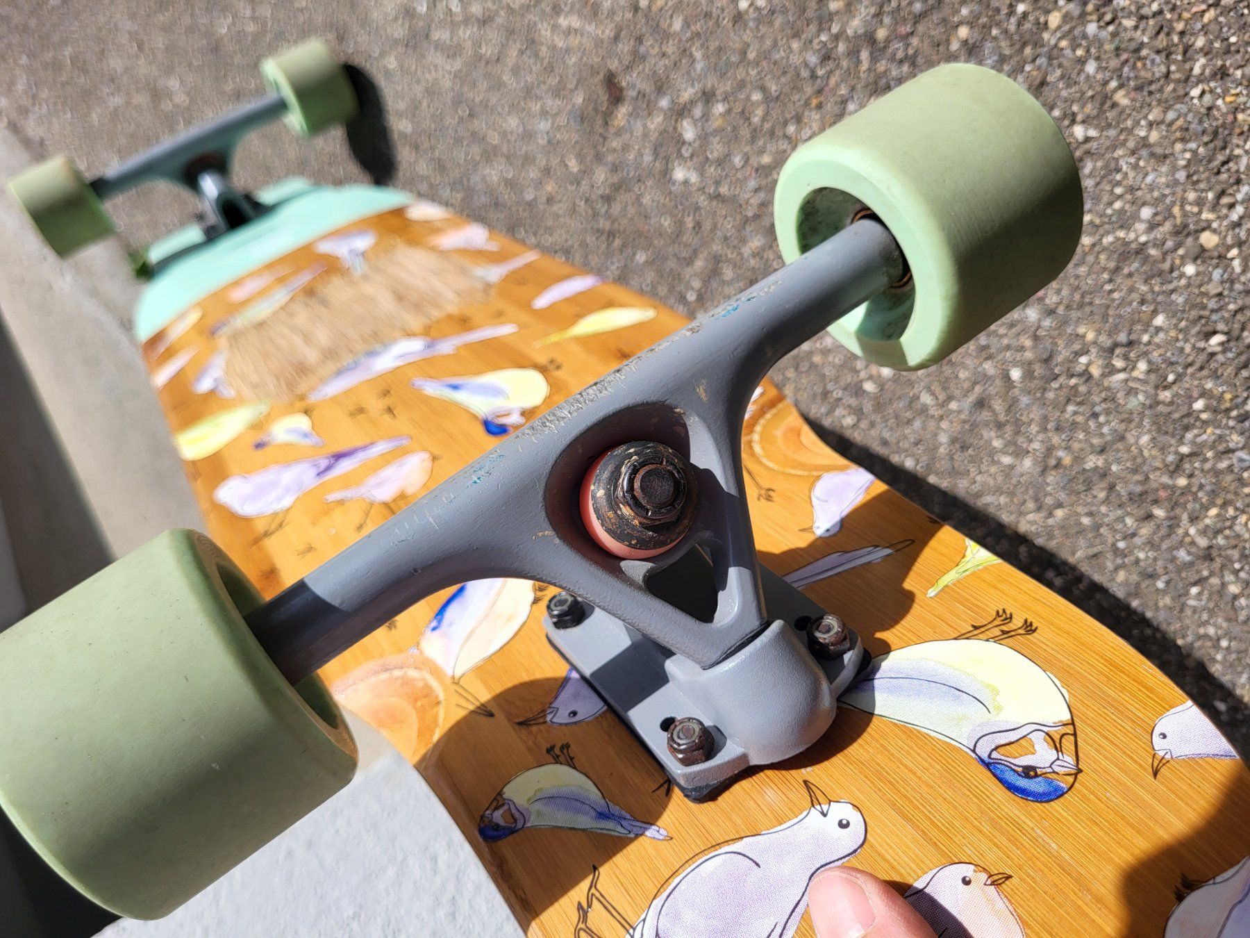 Skateboards: Longboard BTFL – Usato da Wallisellen venduto da ire_z2yn 6
