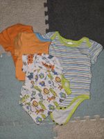Babybody 5er Set, Gr. 6 Monate