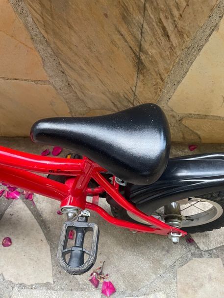 Leopard Biciclette: Leopard Kindervelo 12.5 Zoll rot in Top Zustand – Usato da Bergdietikon venduto da antovale 3