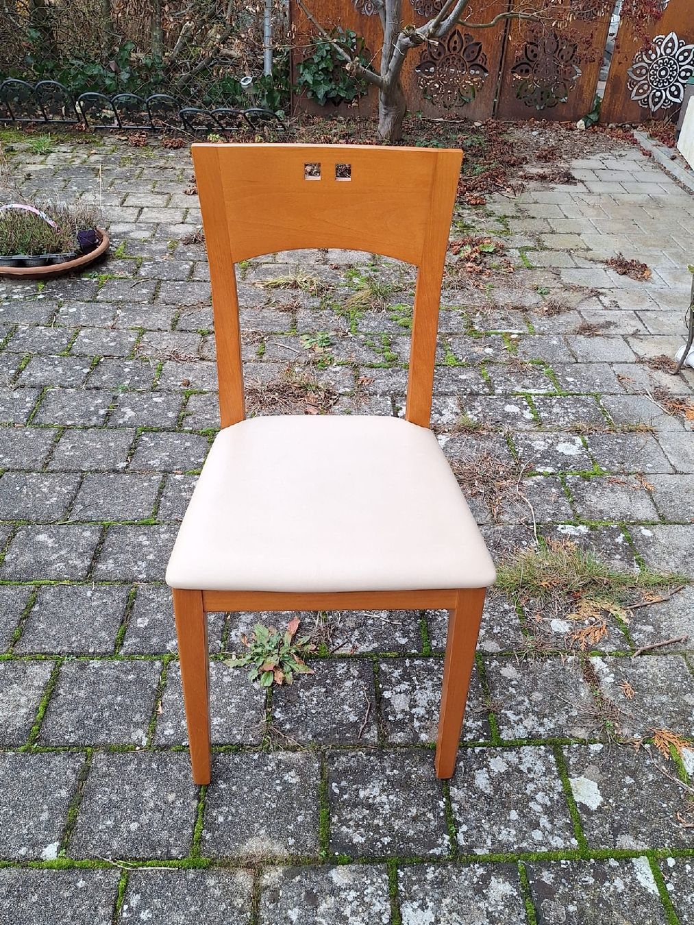 Sedie: 6 x Stühle – Usato da Müntschemier venduto da Fee_00