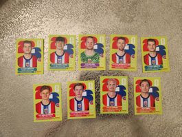 Panini WM 2026 - Norwegen