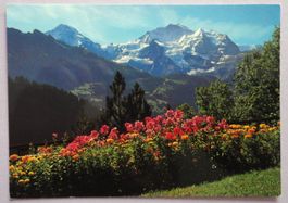 Jungfrau, Mönch, Wengen 1300 m