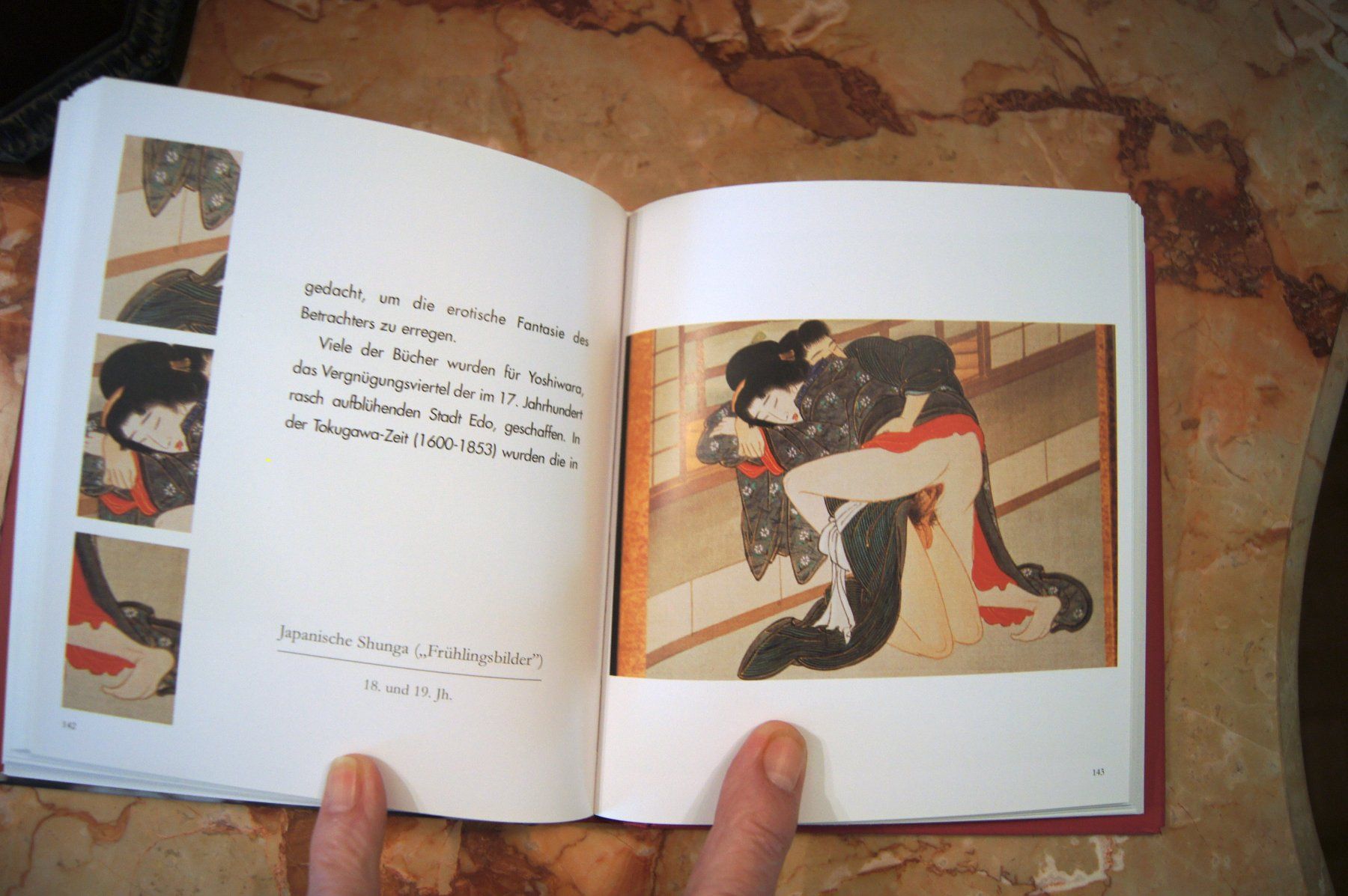 Libri: Erotische Kunst aus Asien – Nuovo (secondo la descrizione) da Geroldswil venduto da ARTEFACTO 5