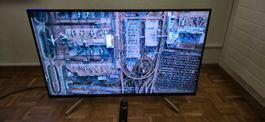 43 Zoll 4K  Sony TV