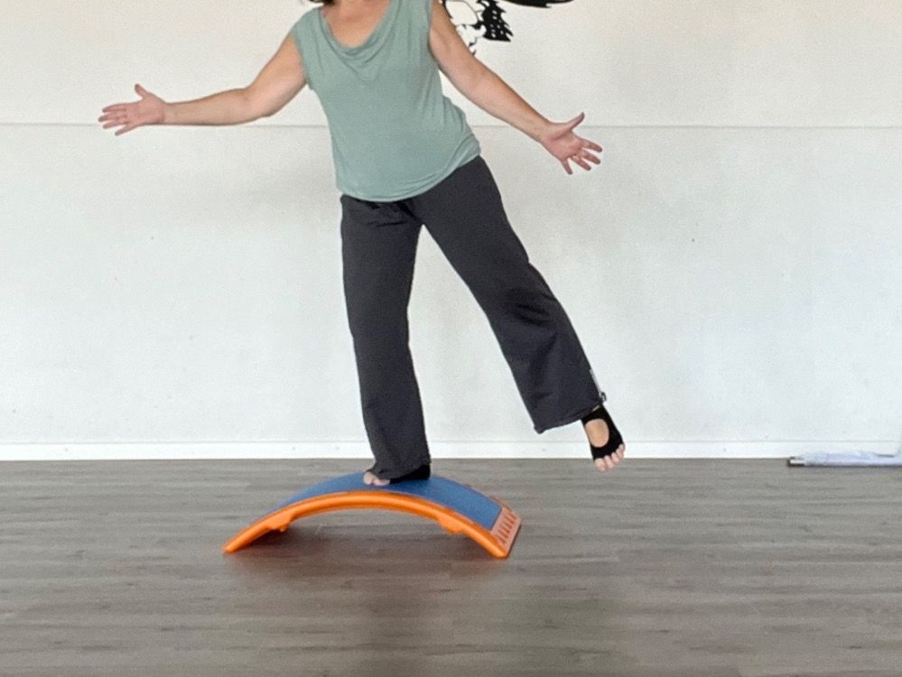 Hometrainer: T BOW Trainingsgerät – Usato da Grüt (Gossau ZH) venduto da -nixe- 1