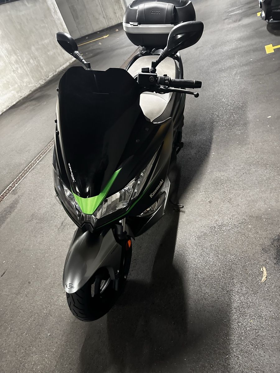 Kawasaki Altro: Kawasaki J300 – Usato da Visp venduto da Swissedize 5