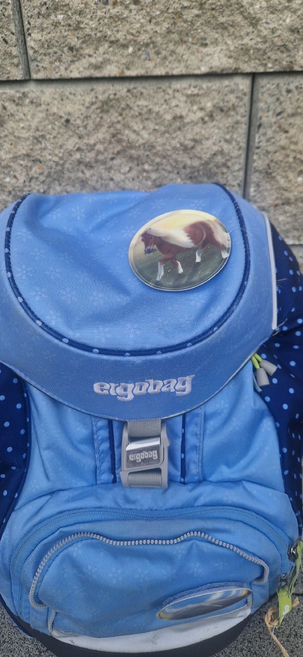 Ergobag Zaini: Schulrucksack Ergobag blau mit Pferdemotiv – Usato da Grosshöchstetten venduto da Joyaracer1985 1