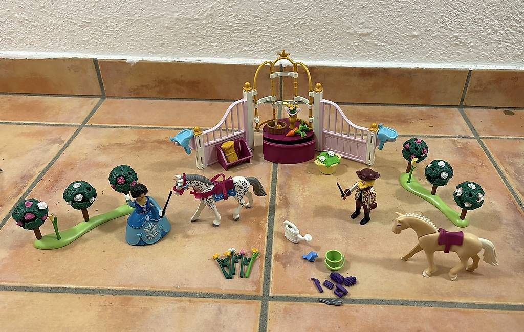 Playmobil Giocattoli: Playmobil Princess 70450 – Usato da Claro venduto da Daymar 1