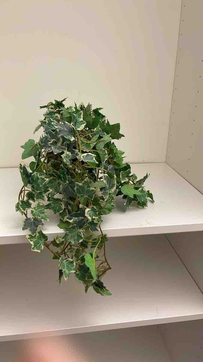 Plantes & graines: Kunstpflanze – D'occasion à Boningen par LAZ