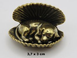 Messingfigur - HUND in MUSCHEL - Dekoration - 3,7x3cm