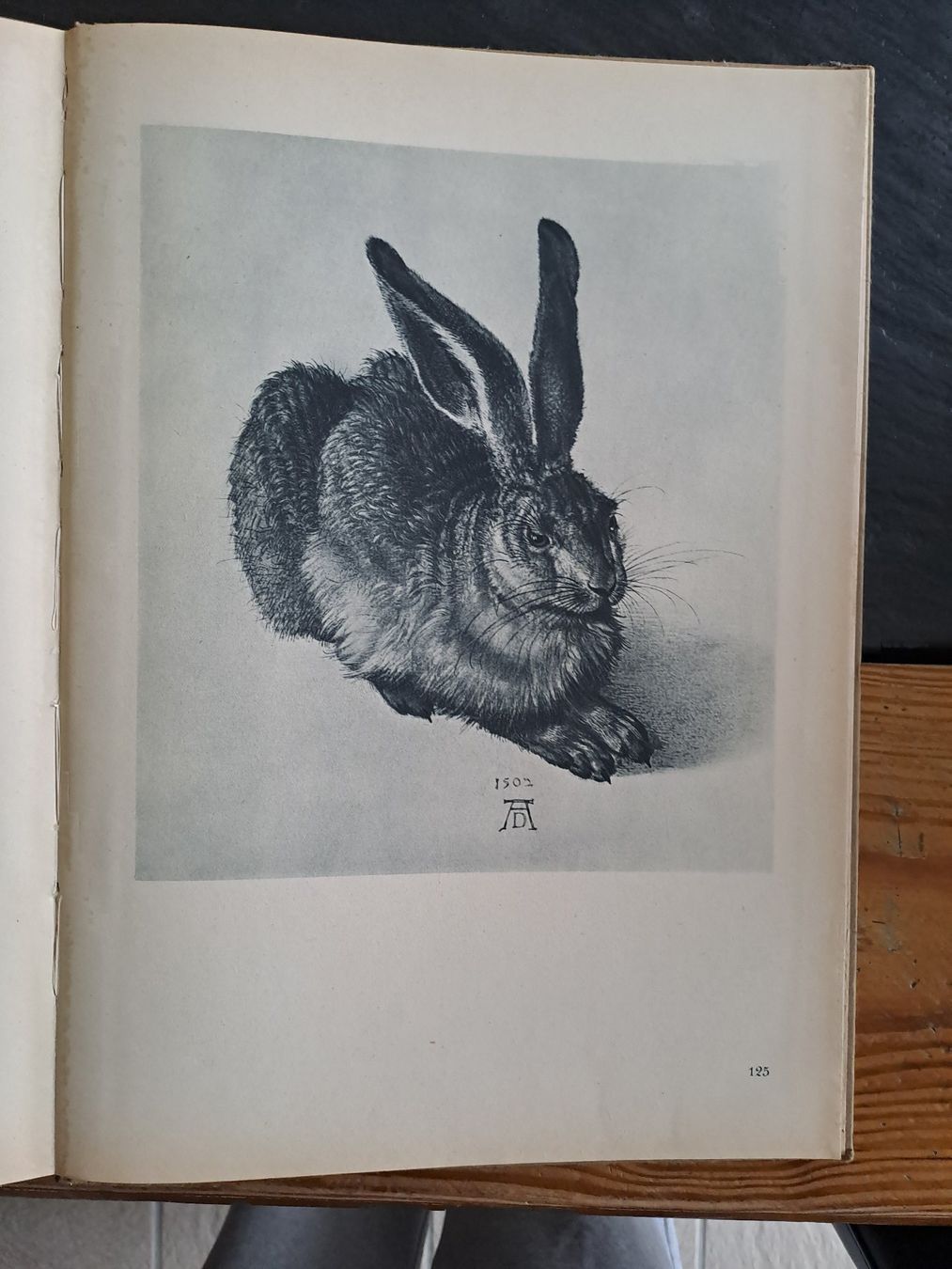Bücher: Dürer Bildband und Text – Gebraucht aus Bern von Kamaleon 4