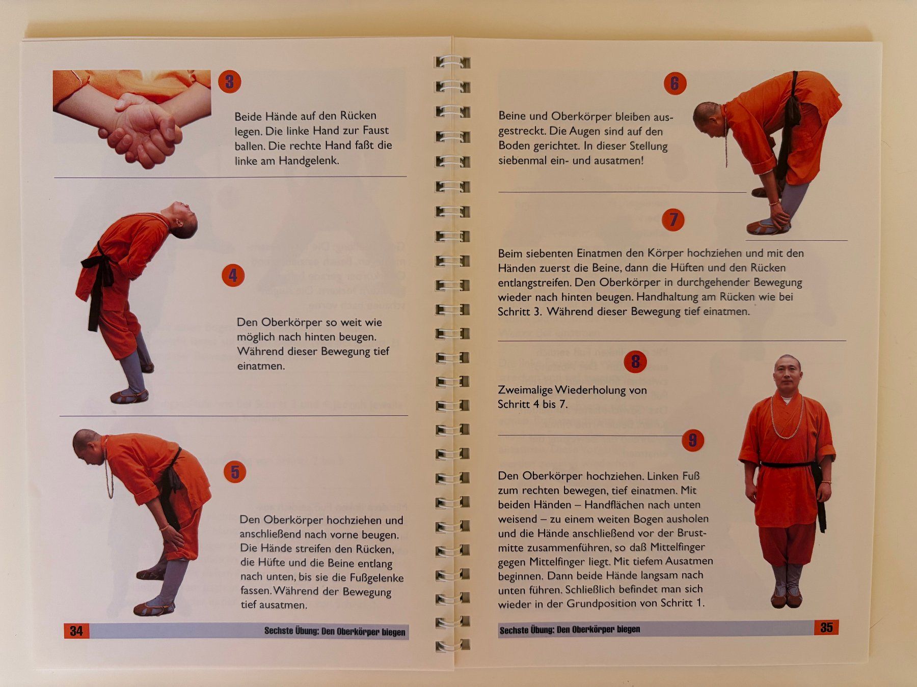 Libri: Stark & Gesund durch Qigong - mit Shaolin-Meister – Usato da Grüningen venduto da saya14 5