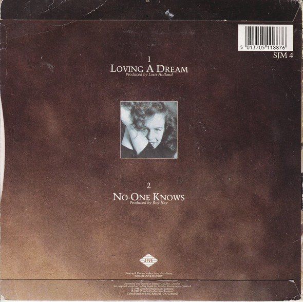 Dischi in vinile: Morris Sarah Jane: Loving A Dream 7" – Usato da Steinhausen venduto da Vilivinili 1