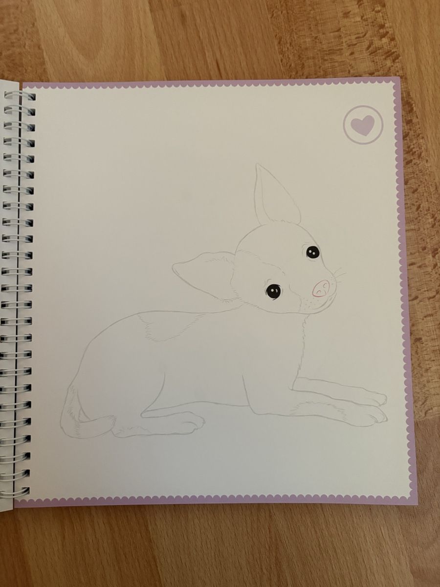Bücher: TopModel Doggy Buch – Neu (gemäss Beschreibung) aus Freienstein von ani_6glq 2