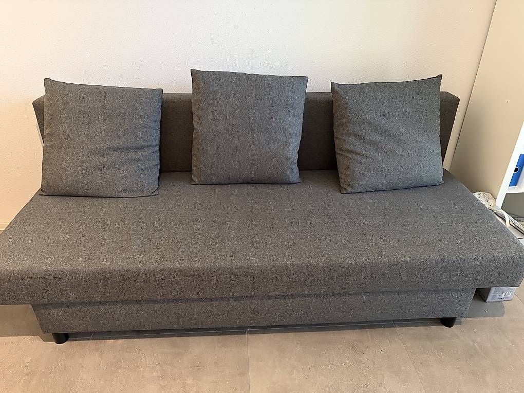 Ikea Divani: Bettsofa ÄLVDALEN – Usato da Möriken AG venduto da ram_n5kf 1