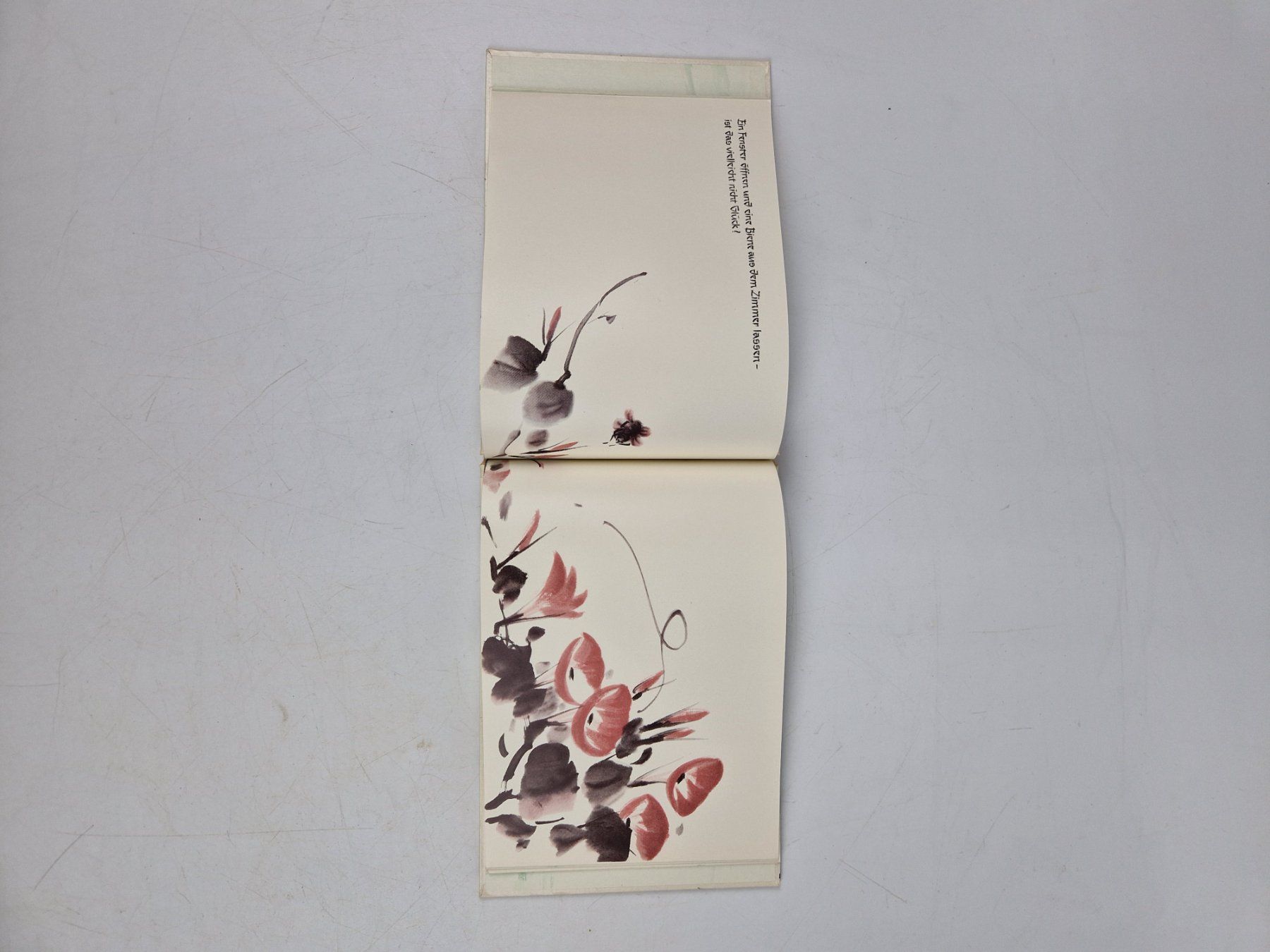 Livres: Pinselzeichungen - LI AI VEE – D'occasion à Muhen par Restwert_Muhen 4