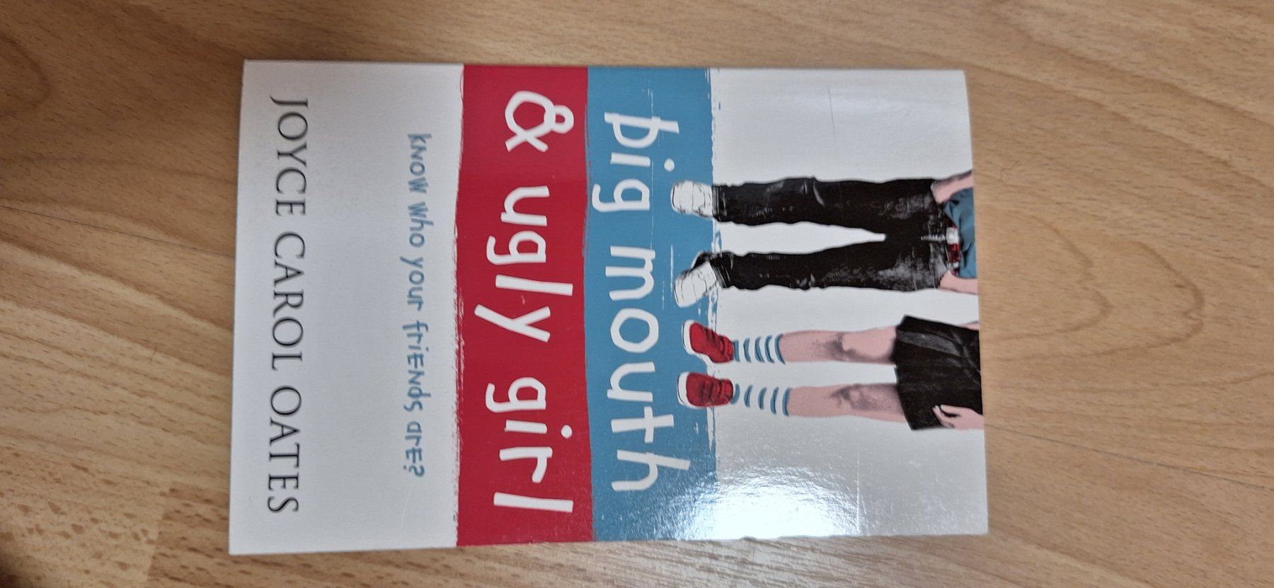 Libri: Big mouth and ugly girl – Usato da Ilanz venduto da sari_casa