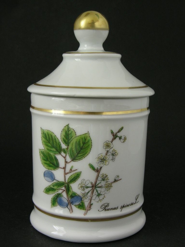 Tutte le decorazioni: Dose mit Deckel handbemalt - Prunus spinosa L. - Langenthal – Nuovo (secondo la descrizione) da Zürich venduto da LodgE-21