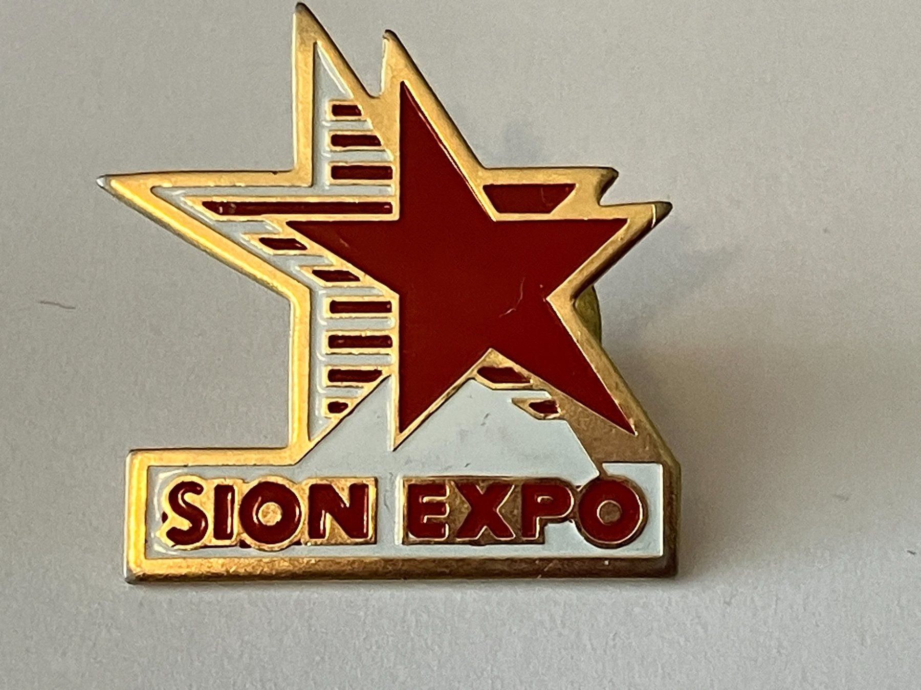 Placchette & Badge: 1 Pin Sion Expo – Usato da Basel venduto da djwwpp