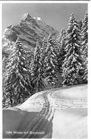Winter auf Braunwald