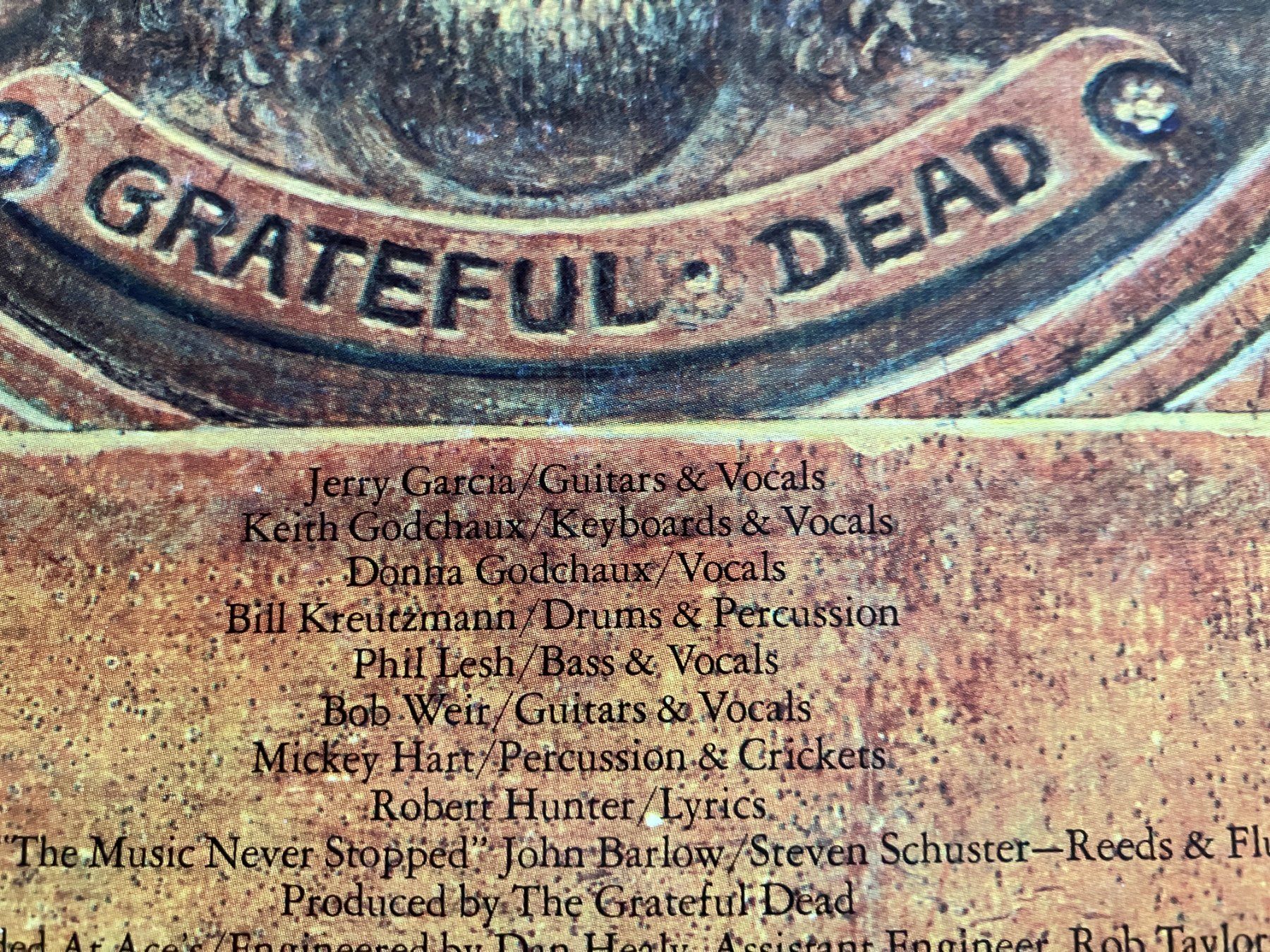 Dischi in vinile: Grateful Dead – Usato da Aarwangen venduto da Jukebox3 4