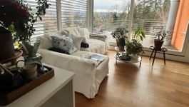 Gebrauchtes und sehr gut gepflegtes Bettsofa Ikea Ektorp