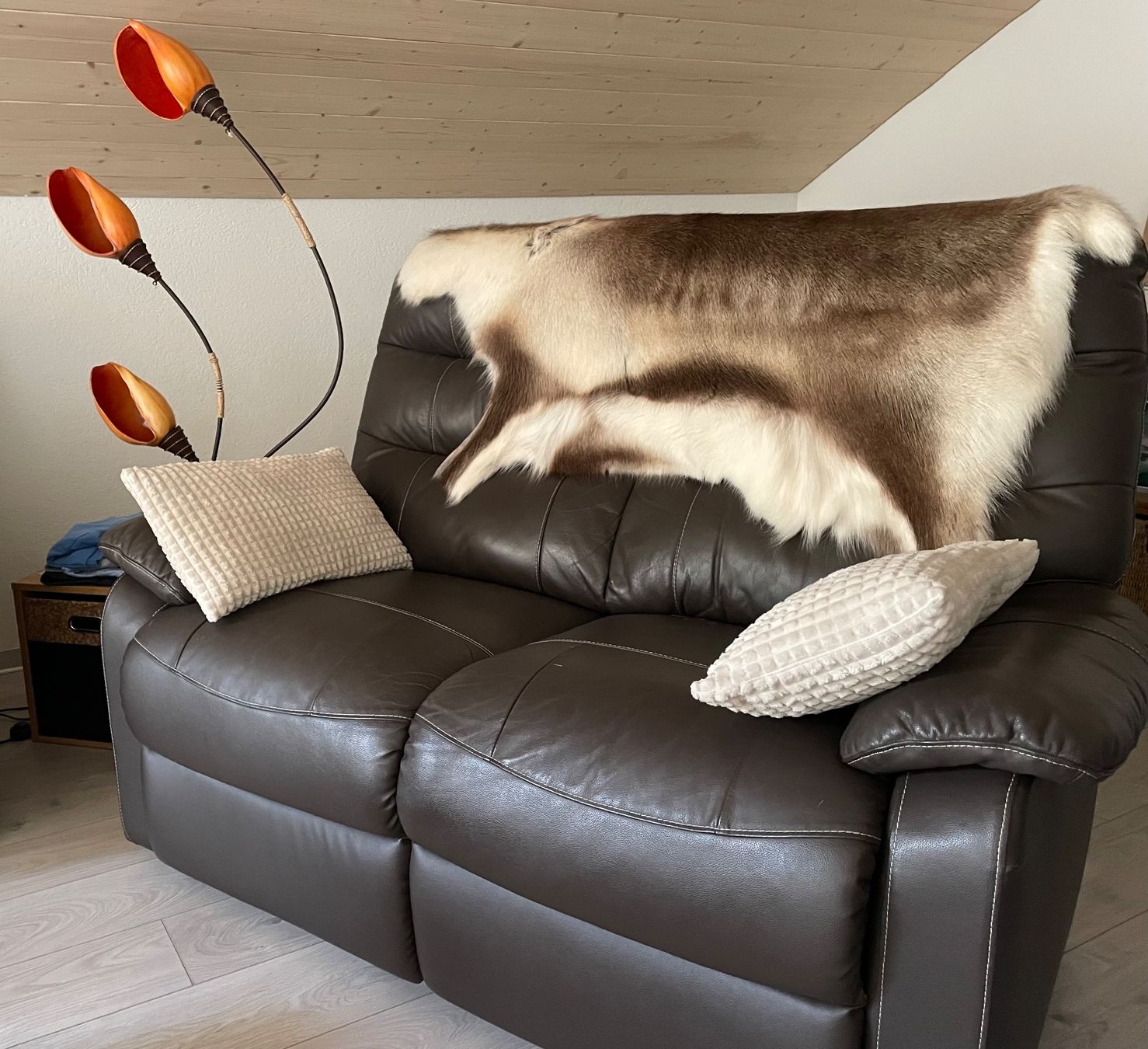 Sofas: Canapé cuir 2 places – D'occasion à La Chaux-de-Fonds par elj_5rt5