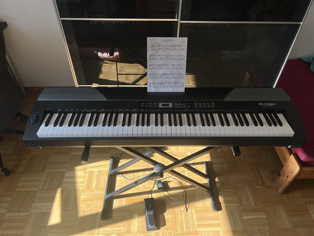 Strumenti musicali: Digital Piano Thomann DP26 – Nuovo (secondo la descrizione) da Zürich venduto da far_2zpy