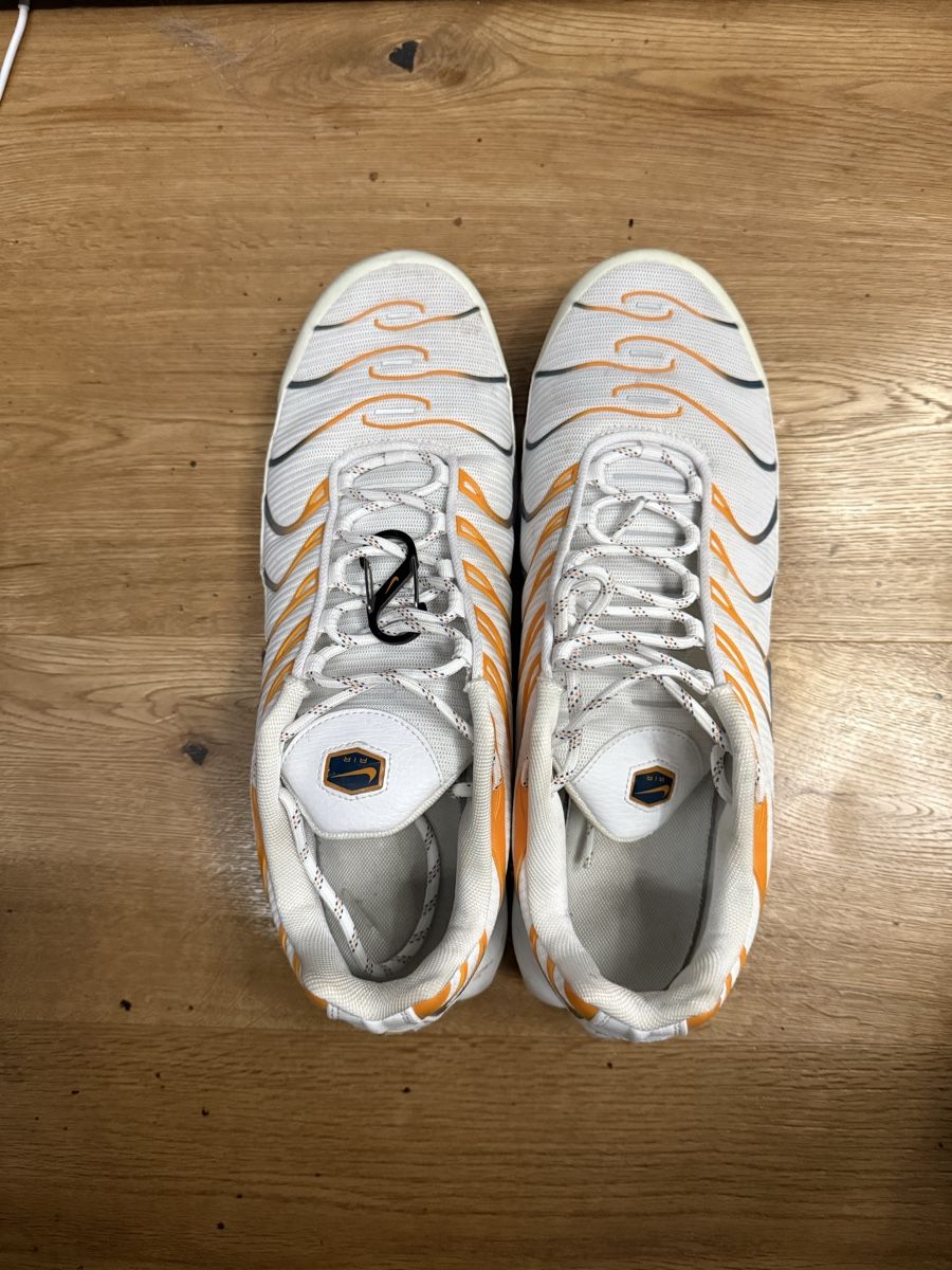 Nike Scarpe da uomo: Air Max Plus Carabiner  – Usato da Domat/Ems venduto da kik_8btw 1
