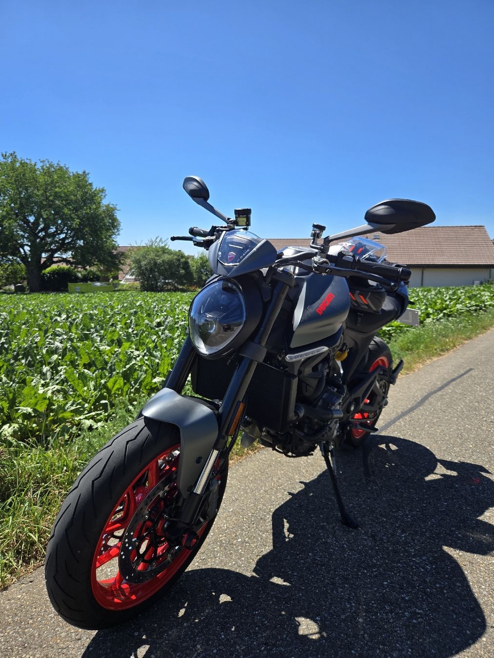 Ducati Route: Ducati Monster + 937 (35kw) – D'occasion à Opfikon par Cat72 1