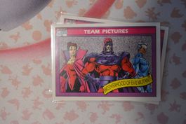 Marvel Universe 1990 - Brotherhood of Evil Mutants