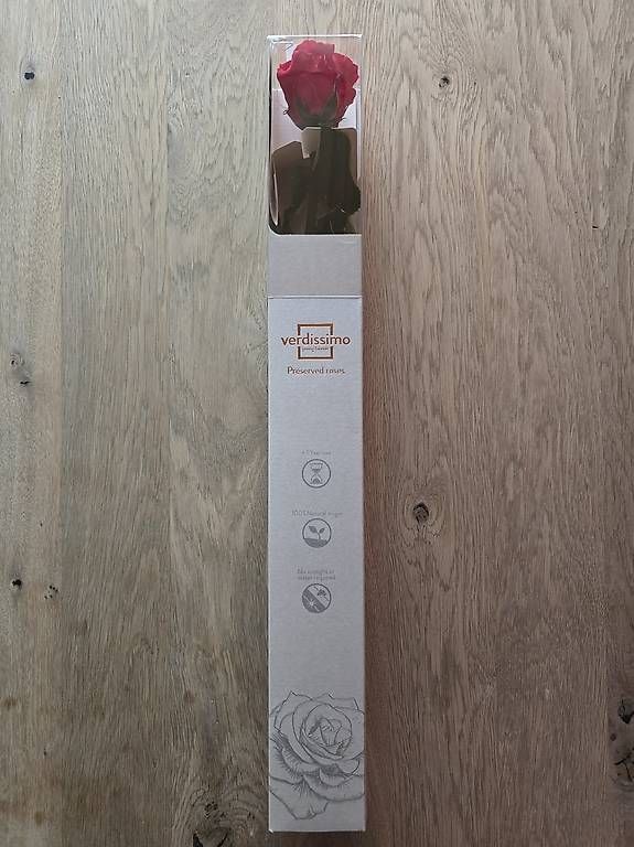 Piante & sementi: Echte konservierte Rose original verpackt – Nuovo e nell'imballaggio originale da Ennetbühl venduto da japtec 1