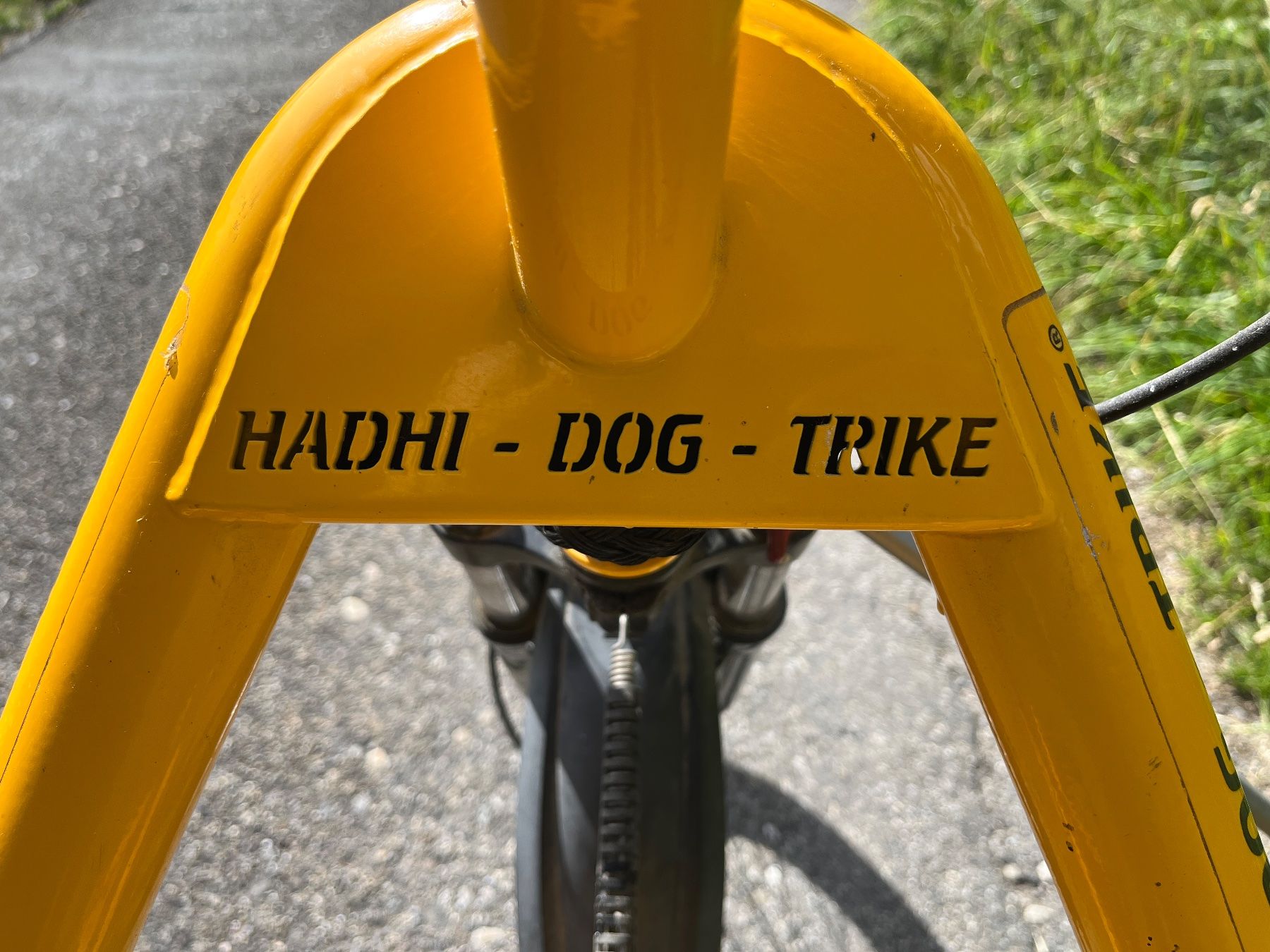 Velos: Hadhi Dog Trike – Gebraucht aus Reigoldswil von tan_wh69 1