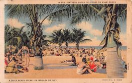 Gruss aus MIAMI BEACH - Illustration, Bathers unter the palm