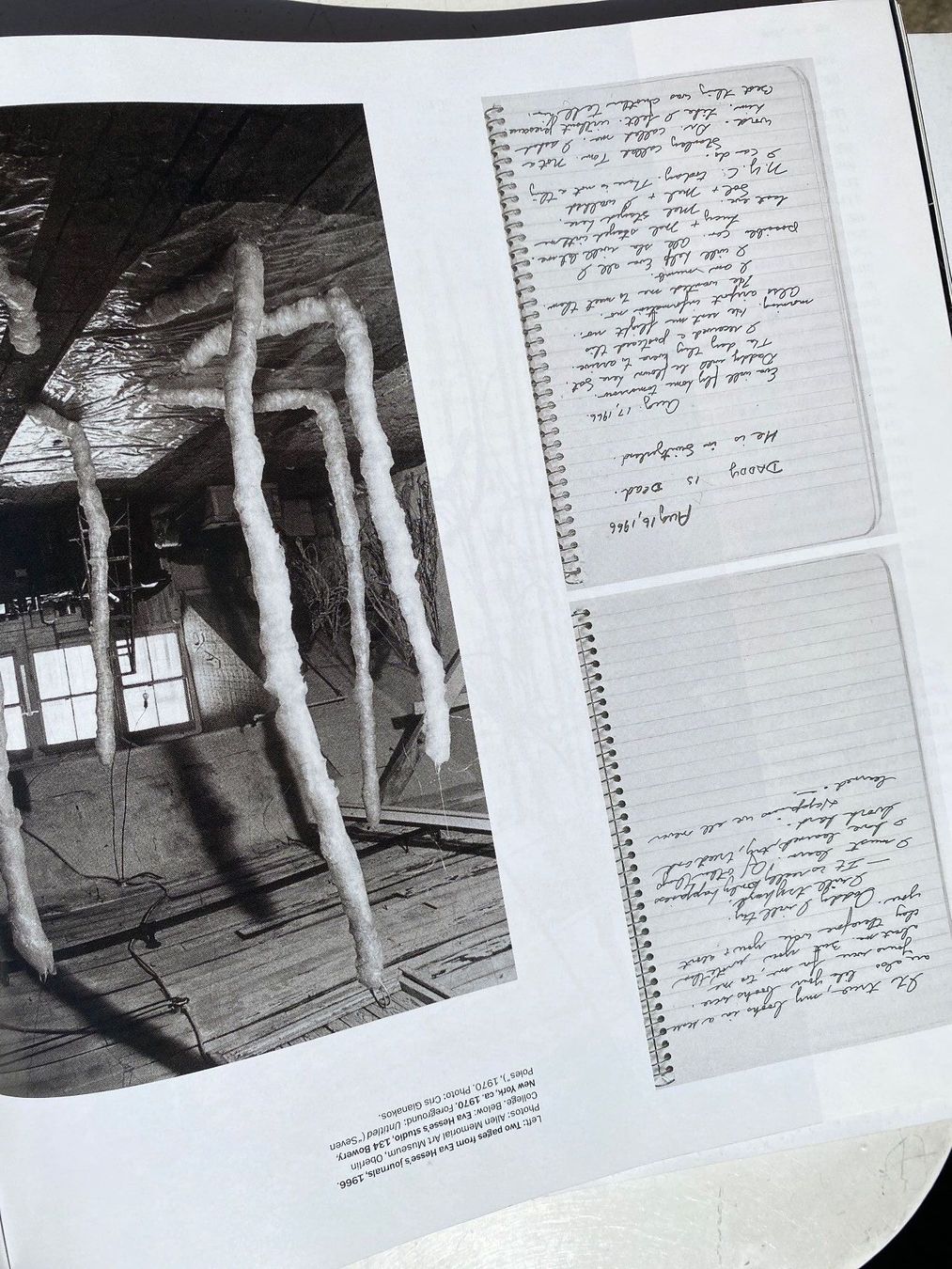 Libri: Eva HESSE. Robert SMITHSON. Nancy HOLT.  LANDART – Usato da Zürich venduto da lesgarcons 3
