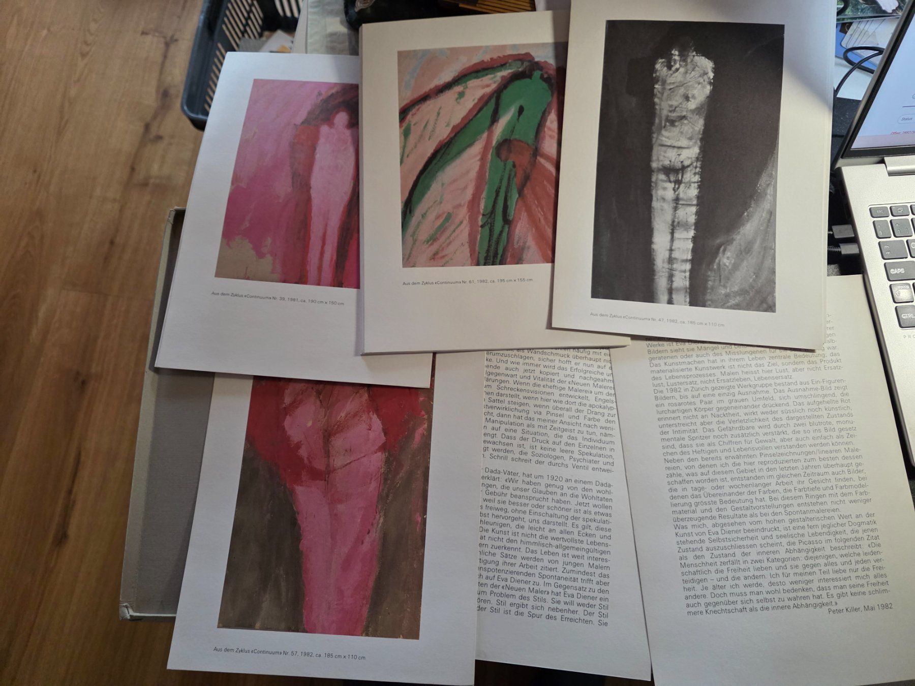 Libri: Kunst Mappe - Eva Diener Edition Howeg 1982 – Usato da Walterswil BE venduto da Lonitti 1