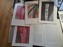 Kunst Mappe - Eva Diener Edition Howeg 1982