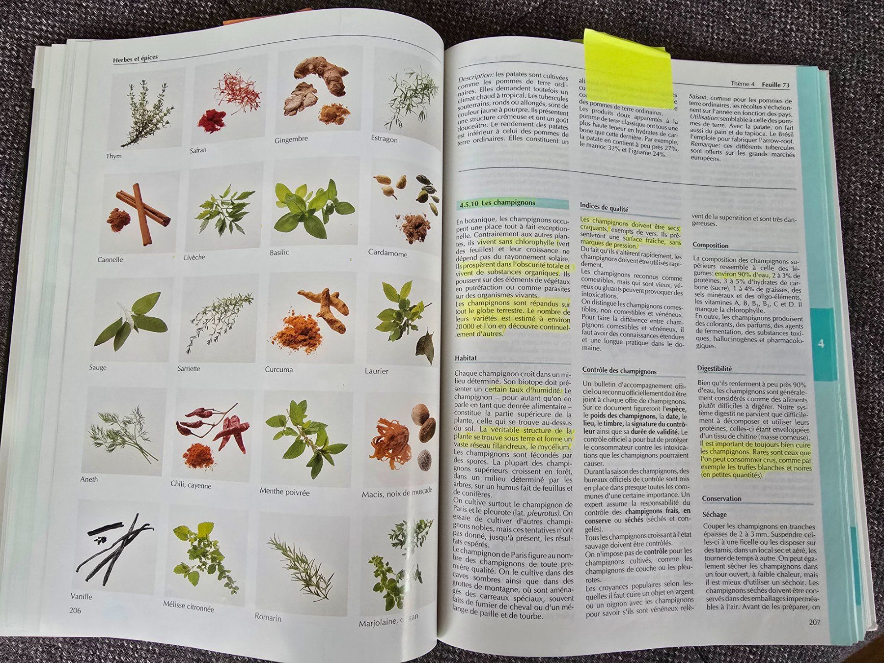 Libri: Pauli: Technologie culinaire – Usato da Büttikon AG venduto da Amineah 2